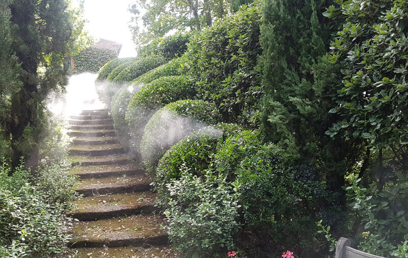 Nella foto si vede una scala in giardino ccon tanata vegetazione e una nuvola bianca di insetticida