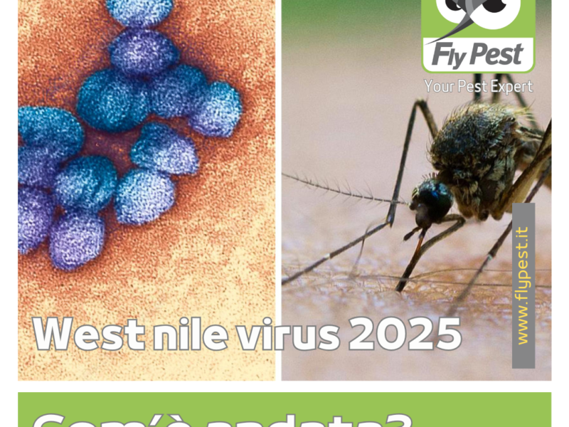 Locandina West nile virus, si vede un'immagine con a sinistra il virus visto al microscopio, sulla destra una zanzara che succhia
