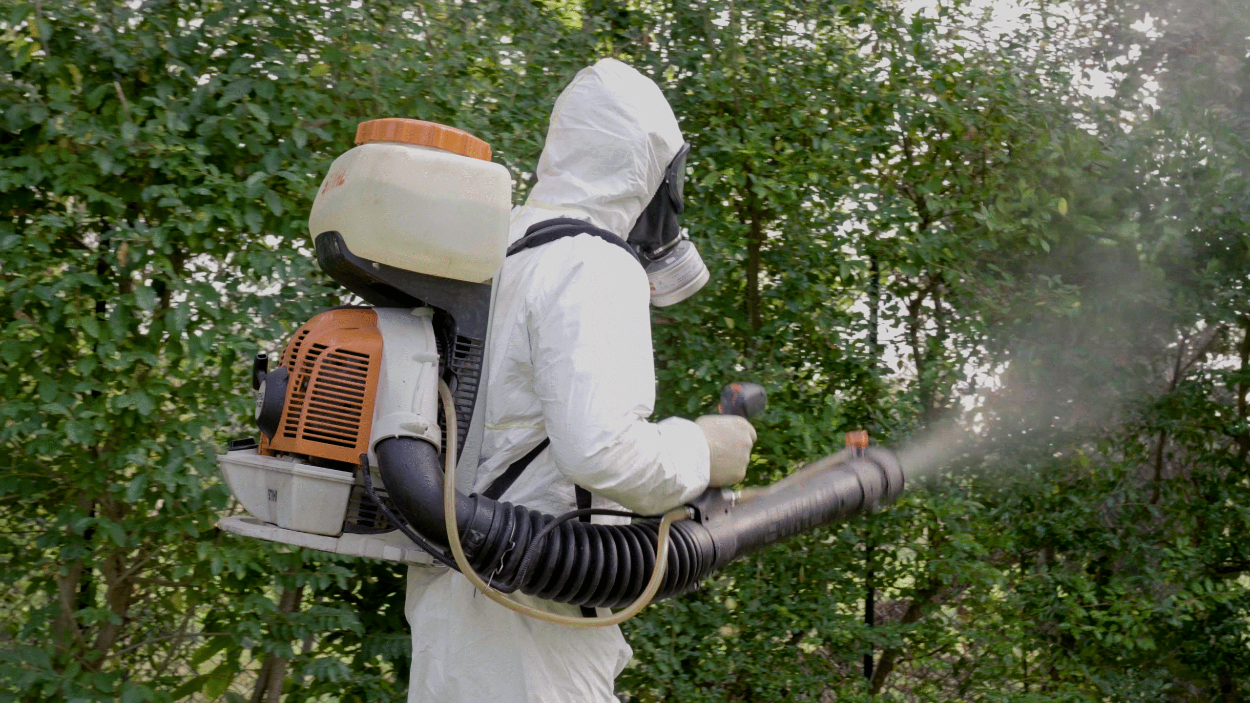 Uomo che esegue una disinfestazione zanzare manuale